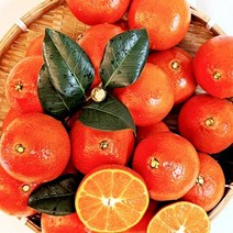 제주도홍매향_2kg_벌크_하우스홍매향_제주도명품과일_소과 EB70