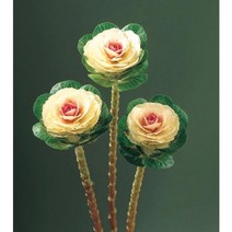 꽃양배추 루시르 절화 분화용Cut Flower Kale Lucir Series(종자 꽃씨앗 / 10립), 화이트