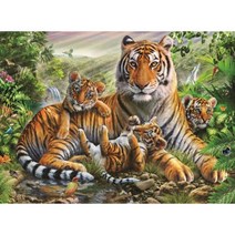 1000피스 행복한 호랑이가족 직소퍼즐 HP1008 풍경퍼즐 _ 501209EA, $ 본상품선택, $ 1, $ 본상품선택