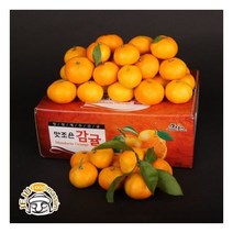서귀포 하례마을 노지감귤 5kg ( 2S/S/M 65과 내외)