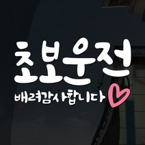 108 STUDIO 초보운전 차량스티커300, 308(핑크하트)스몰