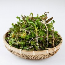 돌 밭 생 나물 제철 뿌리야채 미나리 다이어트녹즙 거머리 싱싱 대용량 1박스 4kg 2kg