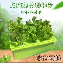 식물재배기 수경 식물 재배기 시티팜 가정용스마트팜 2021.4 무토 재배 장비 발코니 야채 파종기 실내 야채 심기 화분 재배, 녹색 산화, 중간