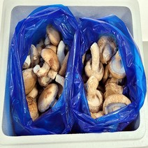 송이버섯(송향버섯) 송화버섯 송고버섯 오전12시전주문시 내일도착(주말 및 공휴일 제외), 1박스, 식당용(파지)2kg