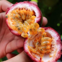 하동 패션후르츠 백향과 생과 1kg, 1box, 3kg