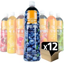 카르페데이 과일음료 베이스/액상 1000ml(12개 1박스), 블루베리