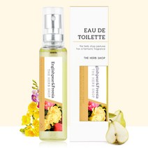 더허브샵 가성비향수 데일리향수 잉글리쉬페어앤프리지아 18ml, 단품
