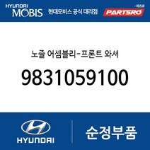 노즐 어셈블리-프론트 와셔 (9831059100) 쏠라티