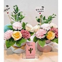 피아트 어버이날 스승의날 선물 비누꽃꽂이 꽃바구니 카네이션 만들기 원예키트, 핑크(화분)