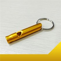 조명탄 비상대피도 피난안내도 건축허가표지판 음성점멸유도등 출차주위등 밀폐공간표지판 자동차 솔리드, 05 Yellow