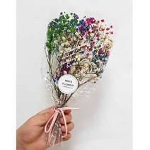 수앤로즈플라워 프리저브드플라워 안개꽃 드라이플라워 안개꽃다발 소 10g 30g, 10g 믹스