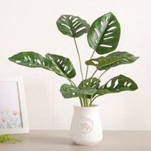 9대프리몬스테리아뿌리 56cm 조화 식물 인테리어 FAIBFT