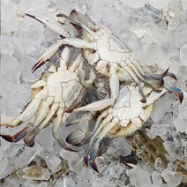 신선함이 생명인 싱싱 빙장꽃게 얼음포장 인천 연평도 암꽃게, 빙장꽃게1kg(3미~5미)