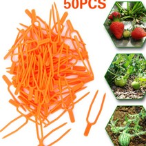 덩굴 식물 덩쿨 바닥 고정핀 행잉 플랜트 원예 클립 줄기 고정 호박 줄기 엉킴 방지 50P