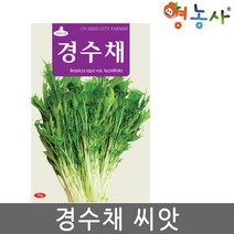 영농사 경수채 씨앗 15g 교나 종자