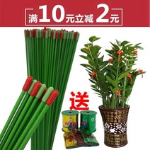 분재철사 원예용 철사 꽃묶음용 백합 월계문죽 금은나무 꽃받침 고정 화분 부목 막대기, 15 10뿌리 없음（150cm길이*4mm굵기） 보내기3