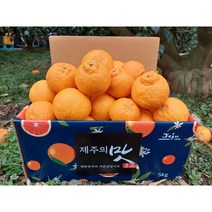 [황금농원] 고당도 서귀포 노지한라봉 10kg, 1box, 10kg(대과)(35과전후)