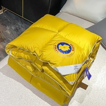 자가발열이불 헝가리 구스이불 여름 겨울 화이트 거위털 가을 이불 코튼 호텔 부드러운 오리털 대형 침구, 150x200cm 2kg, 3