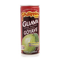Philippine Brand Guava Juice Necta 필리핀 브랜드 구아바 주스 넥타, 1개, 250ml