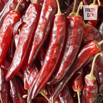 프레시데이 고창 황토밭 햇 건고추 5근 (3kg) 2023년산, 단품없음