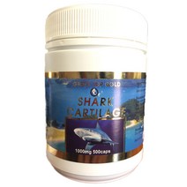 뉴질랜드 그린탑 상어연골 1000mg 500캡슐, 1개