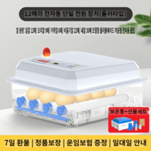 병아리 부화기 부화 키우기 거위알 부하기 계란 인공, 완전자동 단일배터리 12개(롤러형)