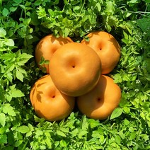 [품평회대상] GAP인증 나주직송 햇 나주배, 가정용 나주배 3kg(4-8과)