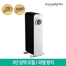 흥신 액센트리 전기라디에이터 ERT-A02WB (라지에이터/히터/난로), ERT-A01WB (13핀/2500W)