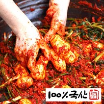 [100% 신토불이 김치] 우리 농산물로 만든 프리미엄 국산 김치, B) 국내산 총각김치 5kg