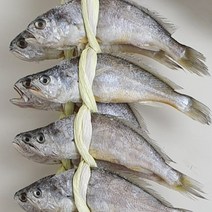 법성포 영광굴비 신부이바지음식 선물셋트 답례품 영광굴비 가정용세트 20미 1.5kg