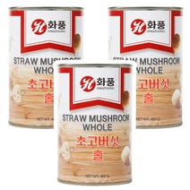 CJ 화풍 초고버섯캔 홀 400G X 3개