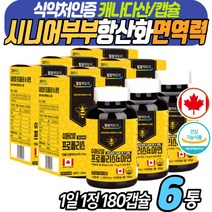 대용량 프로폴리스 노인 항산화 시니어 영양소 캡슐 캐나다 영양제 BEEPROPOLIS 플라보노이드 폴리폴리스 이뮨 징크 면역력높이는 아연 ZINC 60대 70대 80대