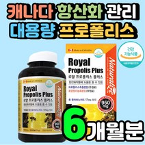 로얄 젤리 캐나다 대용량 프로폴리스 40대 여성 추천 PROPOLIS 기관지 키즈 BEE 플로폴리스 플라보노이드 입안이 헐었을때 목에 좋은 폴라폴리스 가루 플로폴리스 면역력 영양제