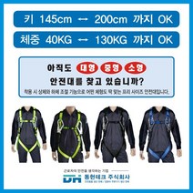 동현테크 [세계 최초 프리사이즈 안전벨트] - 더블 죔줄 벨트X, Free-S-P-02 (파랑색) 벨트X, 1개