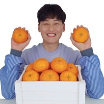 산지직송 스테비아급 당도선별 고당도 제주 설국향, 2kg / 혼합 / 개당80~400g내외