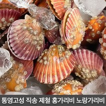 청정 통영 고성 직송 제철 홍가리비 노랑가리비, 50~56미 내외, 홍가리비 2kg