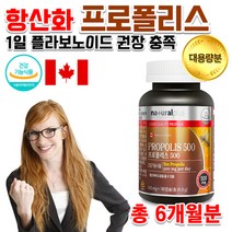 지칠때 피곤할때 입안헐었을때 항산화 면역 캐나다 약국 벌꿀 고함량 프로폴리스 알약 영양제 캡슐 약 6개월분, 상세페이지 참조, 상세페이지 참조