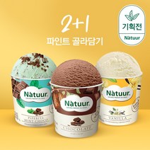 나뚜루 아이스크림 파인트 2+1 골라담기, 초코_그린티 with퍼지 아몬드