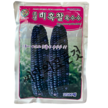 헬프팜 보라흑찰옥수수 2500립 씨앗 종자 KS종묘