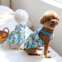 유앤펫 강아지옷 플라워 퐁퐁 볼륨 원피스(7XL 8XL), 블루