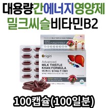 대용량 실리마린 리보플라빈 영양제 간 에너지 생성 간에좋은 밀크씨슬 플러스 비타민 B1 B2 B6 B12 아연 엽산 중년 직장인 남자 여자 추천 밀크시슬 효능 효과 간건강 식품