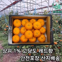 [제주토박이농사꾼] 마미템 제주 명품 레드향 3kg 5kg 10kg 중과 선물세트 못난이 가정용 벌크 선물용 세트 최고급 14brix 고당도 특품 당도선별, 달콤가득 소과 3kg (18과내외)