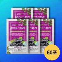 GNM 품격있는 아로니아 2박스 총60포 아로니아즙 폴란드산 항산화, 30포 x 2박스