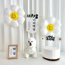 반려동물 100일파티 강아지 고양이 백일상 상차림용품 데이지 토퍼 세트 댕냥이 댕댕이, 백일-B세트