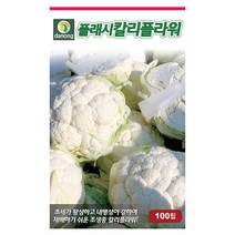 두메 부추 100립 부추씨앗 부추씨 야채씨 야채씨앗 채소씨 채소씨앗, 23_다농_플래시칼리플라워(100립)