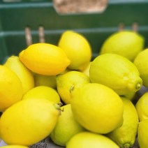 산지직송 제주레몬 국산레몬 제라몬 1kg 3kg 5kg, 제주레몬_제라몬_1kg