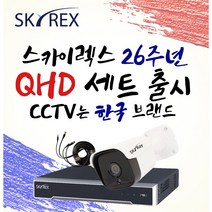 스카이렉스 QHD 초고화질 하이브리드 매장&가정용CCTV 케이블10M 풀세트 실내외겸용, 보급형 실외1개(전용 케이블 10M+아답터