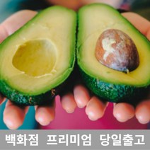 [특등급선별] 아보카도 3.5kg 과일 아보카도요리 아보카도오일 아보카도효능 아보카도먹는법 제철과일 새벽배송 겨울과일 열대과일 아보카도오일효능 아보카도유 아보카드 아보카도오일먹는법
