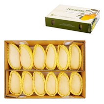 [더로얄] 현지농장 직수입 알뜰 실속형 특대과 프리미엄 태국망고 (10~16입) / 4.7kg 내외, 14개
