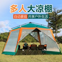 타프쉘 캠핑 타프 스크린 텐트 추천 차량용 미니 차박 차량 쉘 라운지 캠핑그늘막 스크린 블랙 돔 원터치 쉘터, 잉크그린에 오렌지 쿨러 빅 폴